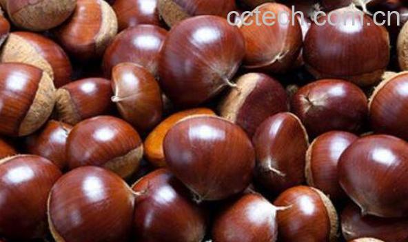 板栗怎么保存 保存板栗不变质的方法技巧-1