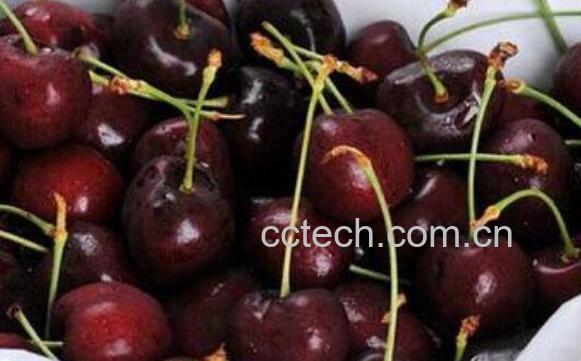 车厘子怎么保存 车厘子保鲜的方法技巧-0
