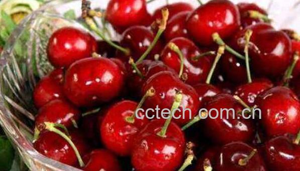 车厘子怎么保存 车厘子保鲜的方法技巧-1