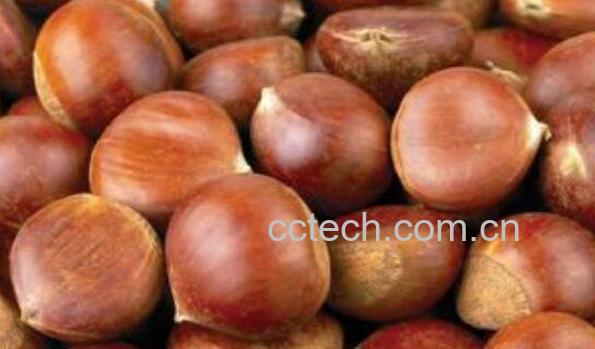 栗子怎么保存 栗子保存的方法技巧-1