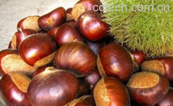 栗子怎么保存 栗子保存的方法技巧-0