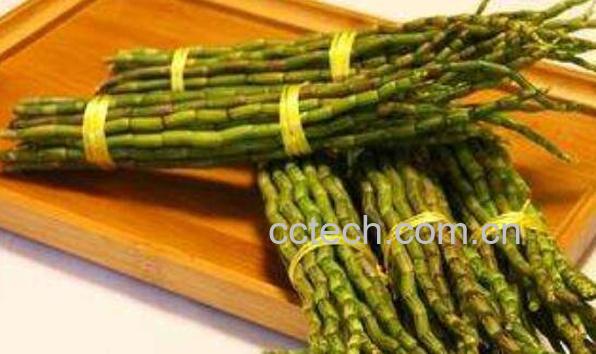 铁皮石斛的功效与作用及食用方法-0