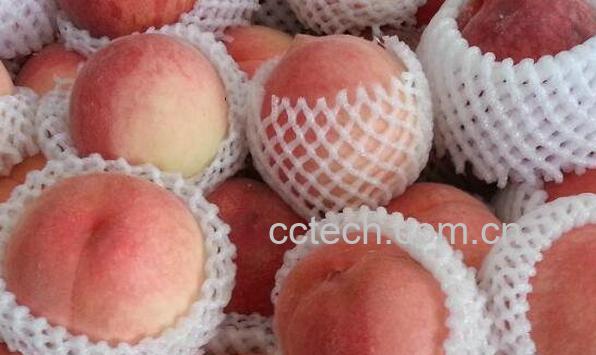 桃子怎么保存 如何让桃子保持新鲜-1
