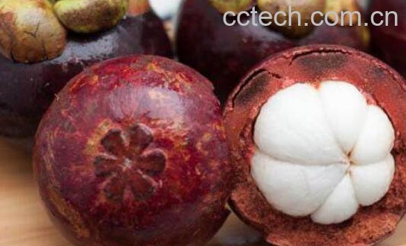 山竹怎么吃 山竹的食用方法和技巧-0