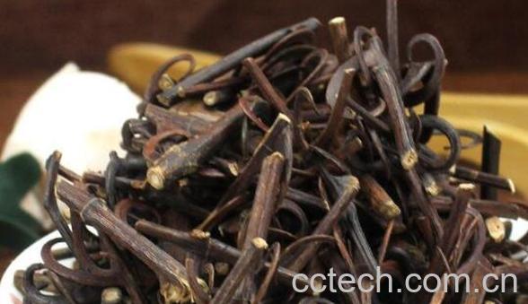 钩藤茶的功效与作用及禁忌-0