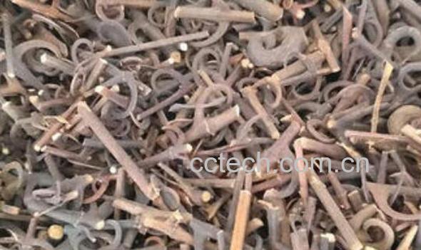 钩藤茶的功效与作用及禁忌-1