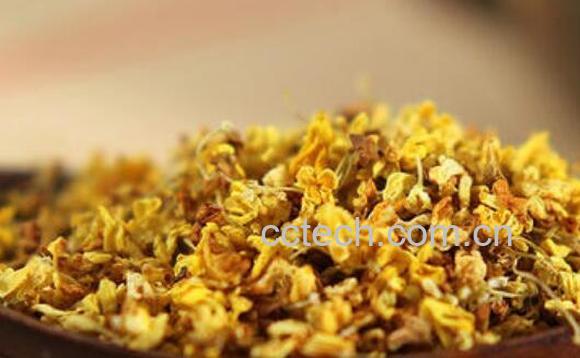 干桂花茶的制作方法-0