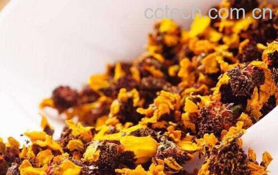 天山雪菊的功效与作用-0