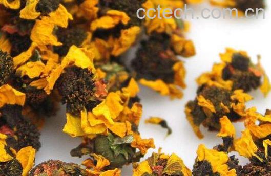 天山雪菊的功效与作用-1