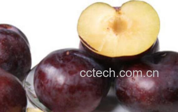 黑布林怎么吃 黑布林的食物方法-1