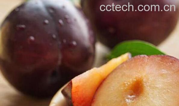 黑布林怎么吃 黑布林的食物方法-0