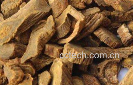 白猕猴桃根的功效与作用-1