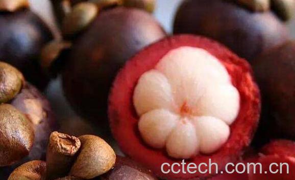 山竹里面的核能吃吗 山竹的食用注意事项-0