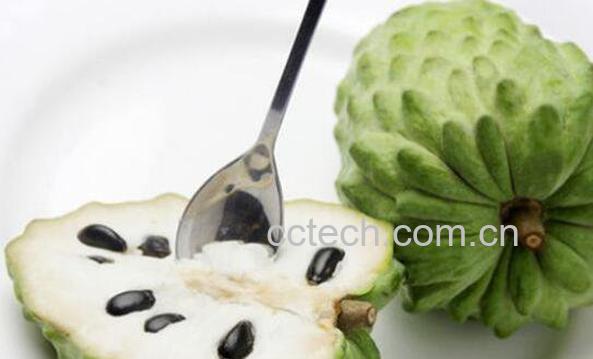 番荔枝和释迦的区别 番荔枝的功效与作用-0