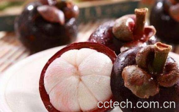 山竹里面的核能吃吗 山竹的食用注意事项-1