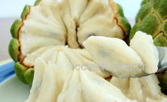 番荔枝和释迦的区别 番荔枝的功效与作用-1