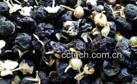 黑枸杞不适合什么人喝 黑枸杞泡水喝的禁忌-1