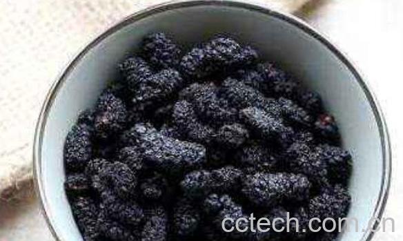 干桑椹子的功效与作用-0