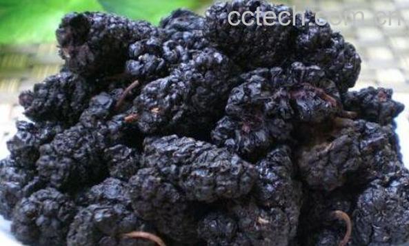 干桑椹子的功效与作用-1