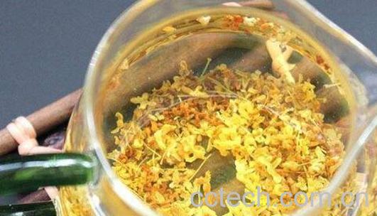 干桂花泡水喝的功效与作用-1