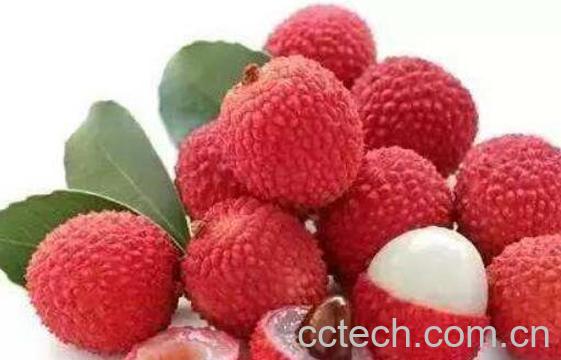 番荔枝和荔枝的区别-1