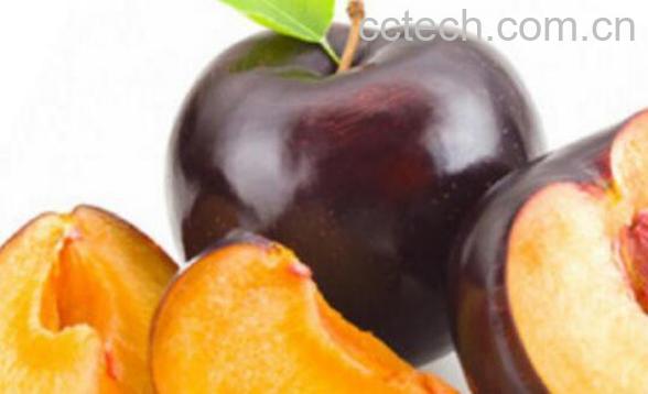 黑布林的功效与作用 吃黑布林的好处-1