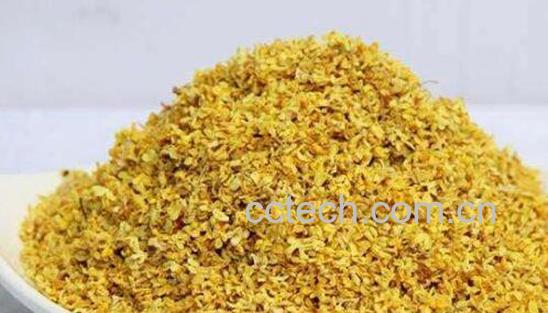 新鲜桂花怎么处理-1