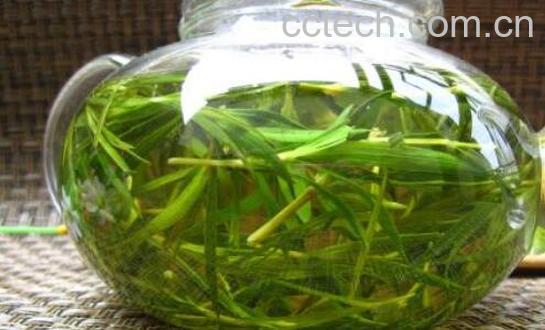 竹叶茶怎么炒制作方法 竹叶茶怎么采摘和制作-0