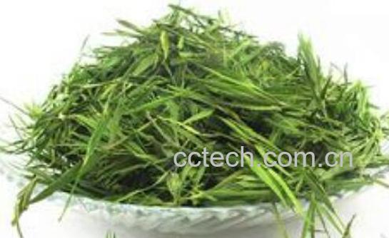 竹叶茶怎么炒制作方法 竹叶茶怎么采摘和制作-1
