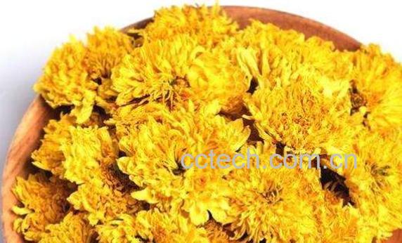 菊花茶不能和什么一起吃 喝菊花茶的禁忌-1