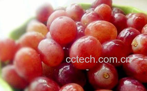 红提子的功效与作用-1
