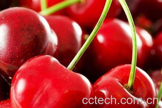樱桃的营养价值 吃樱桃的好处-1