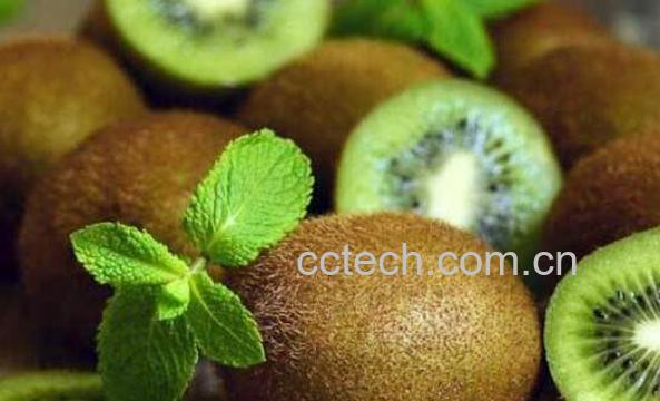 奇异果和猕猴桃的区别-1