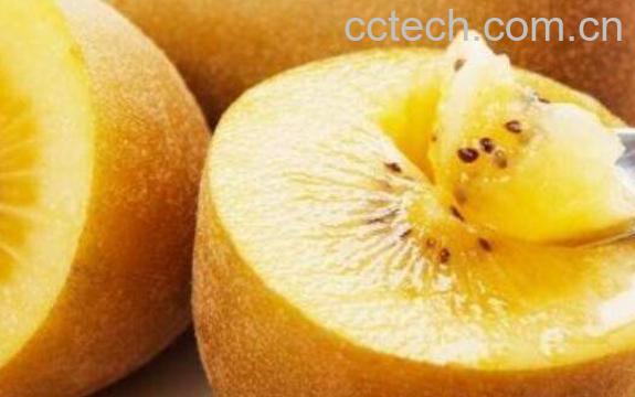 奇异果和猕猴桃的区别-0