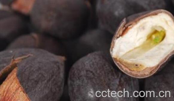 莲子壳泡茶的功效与作用-0