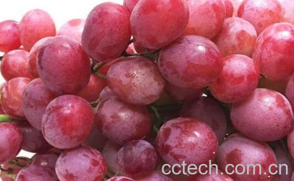 提子怎么吃最快 提子的食用方法-0