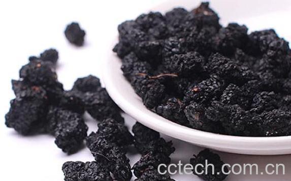 桑葚干的功效与作用-1