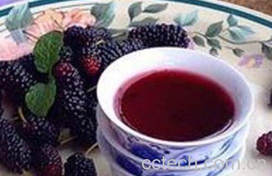 桑果酒的功效与作用-1