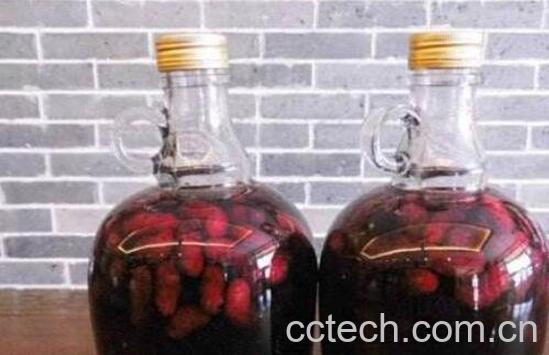 桑果酒的功效与作用-0