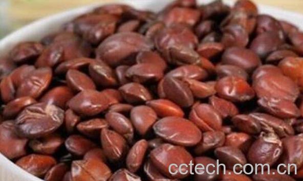 炒酸枣仁的功效与作用及药用价值-1