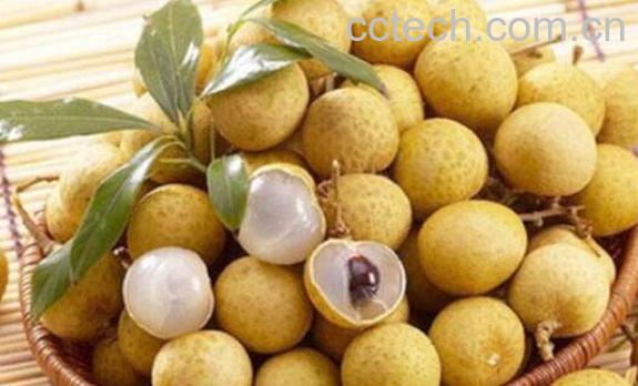 桂圆和龙眼的区别-0