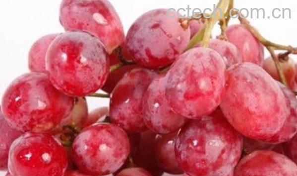 提子和葡萄的区别-0