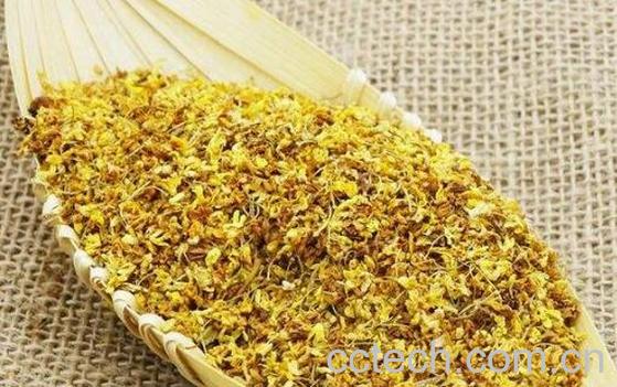 干桂花茶如何做 干桂花茶的制作方法-0