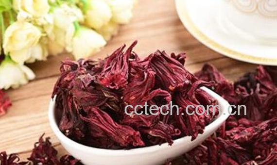 红金梅是什么植物 红金梅的功效与禁忌-0