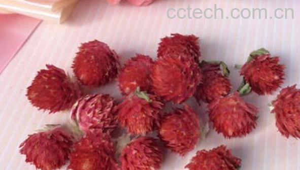 红梅花茶的功效与作用及禁忌-0