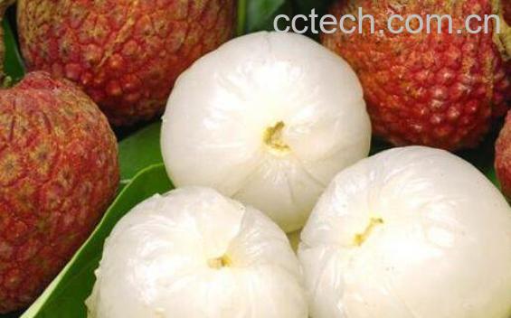 孕妇可以吃荔枝吗 孕妇吃荔枝的好处和坏处-0