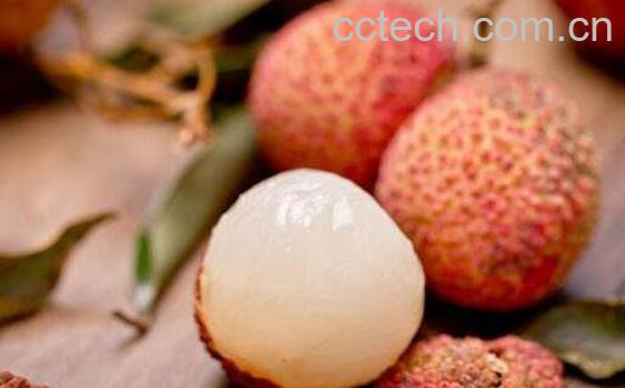 孕妇可以吃荔枝吗 孕妇吃荔枝的好处和坏处-1