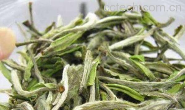 白牡丹茶怎么泡发 白牡丹茶冲泡方法-0