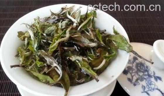 白牡丹茶怎么泡发 白牡丹茶冲泡方法-1