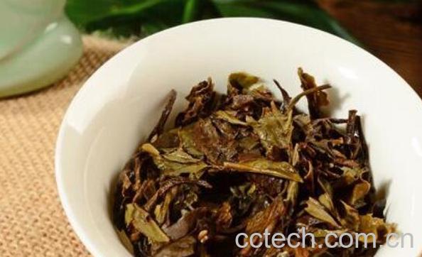 紧压白牡丹茶怎么泡-0